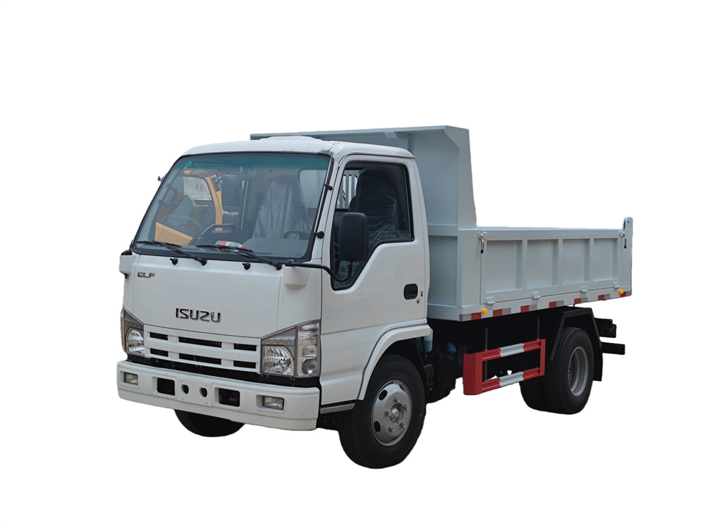 ISUZU 100P NKR 4-5T DUMPER TRUCK