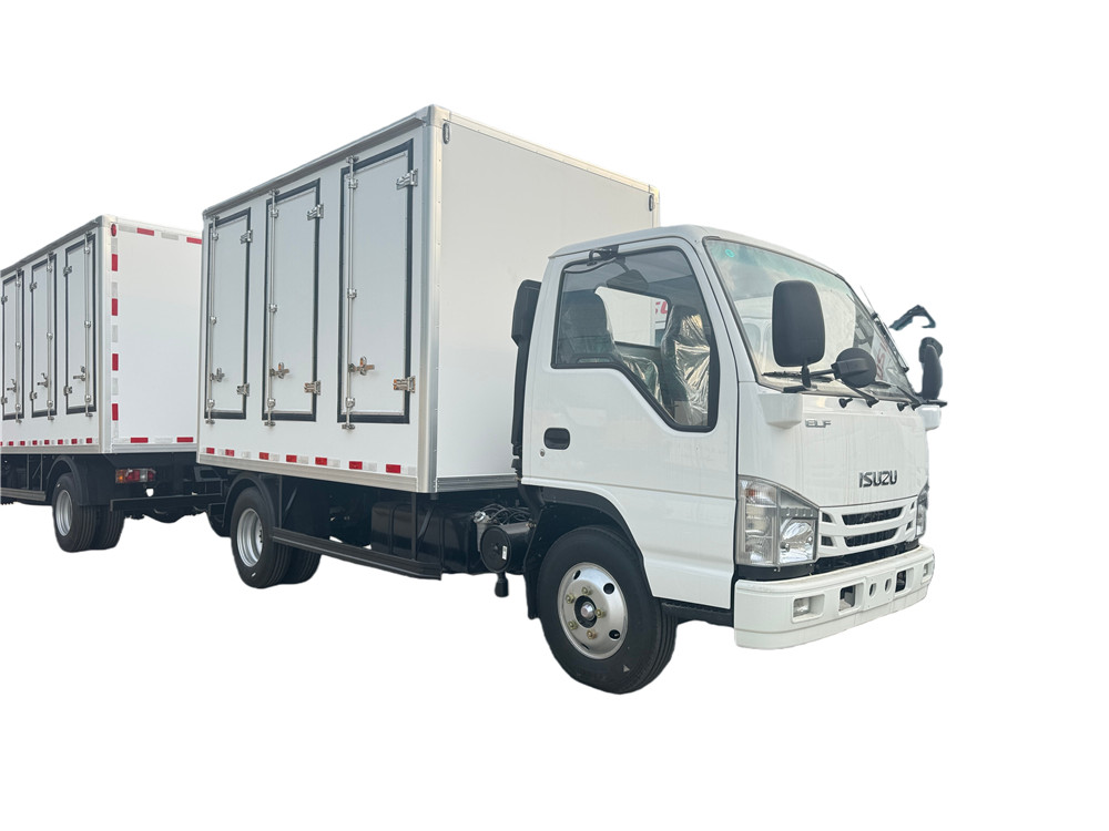 ISUZU 100 NKR 4.2m 5T 6Doors Refrigerator Truck