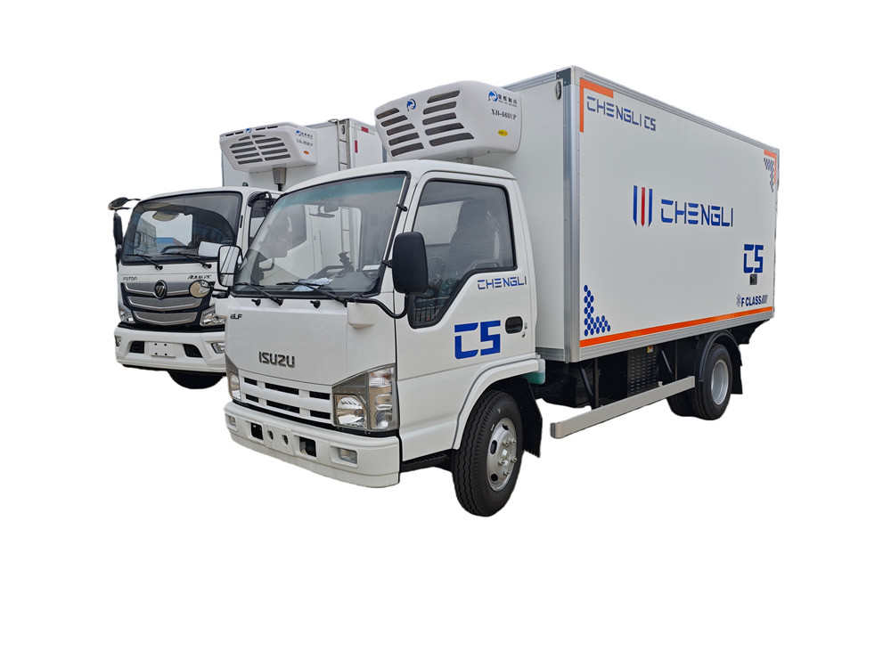 ISUZU 100 NKR 4.2m 5T Refrigerator Truck